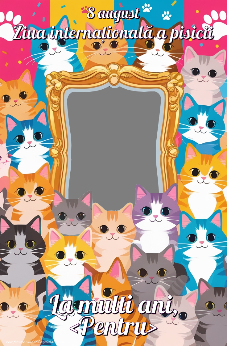 Felicitari personalizate de Ziua Internațională a Pisicii - Felicitare personalizata cu fotografie de ziua pisicilor