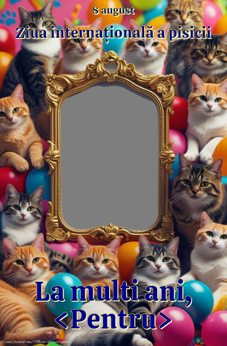Felicitari personalizate de Ziua Internațională a Pisicii - Felicitare personalizata cu fotografie de ziua pisicilor