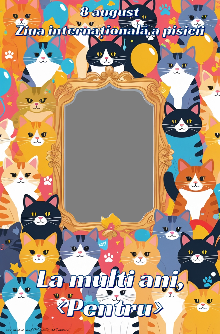Felicitari personalizate de Ziua Internațională a Pisicii - Felicitare personalizata cu fotografie de ziua pisicilor