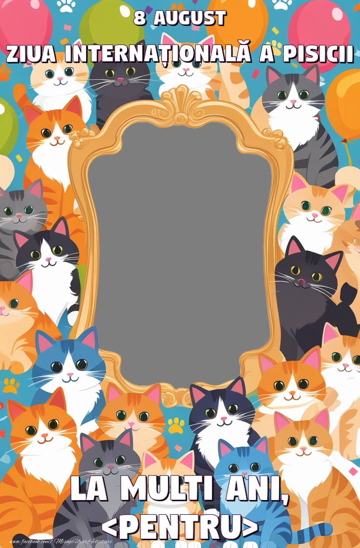 Felicitari personalizate de Ziua Internațională a Pisicii - Felicitare personalizata cu fotografie de ziua pisicilor