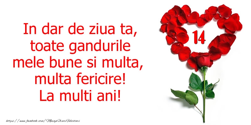 14 ani In dar de ziua ta, toate gandurile mele bune si multa, multa fericire! La multi ani!