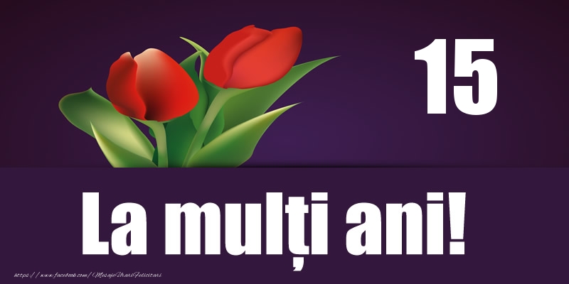 15 ani La multi ani!