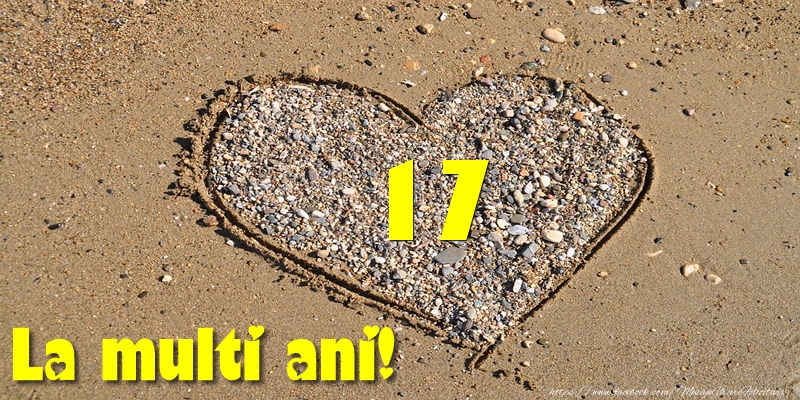 17 ani La multi ani!