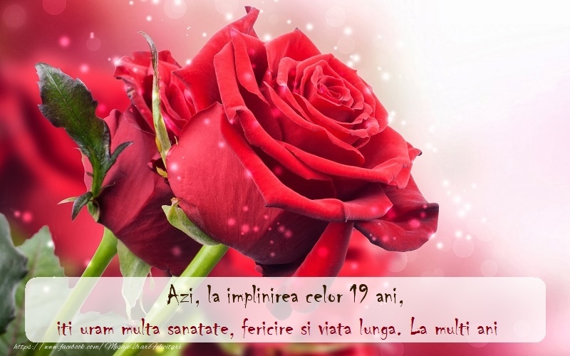 Azi, la implinirea celor 19 ani ani, iti uram multa sanatate, fericire si viata lunga. La multi ani