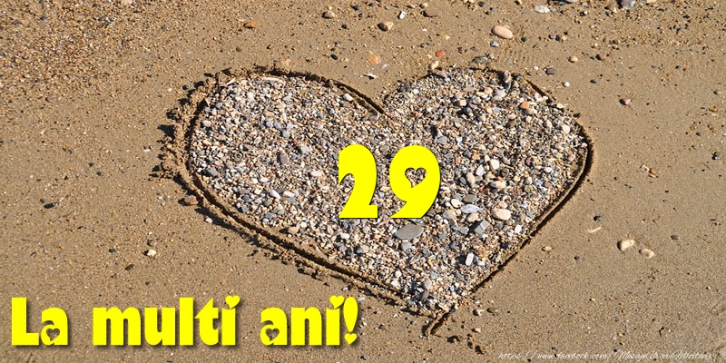 29 ani La multi ani!