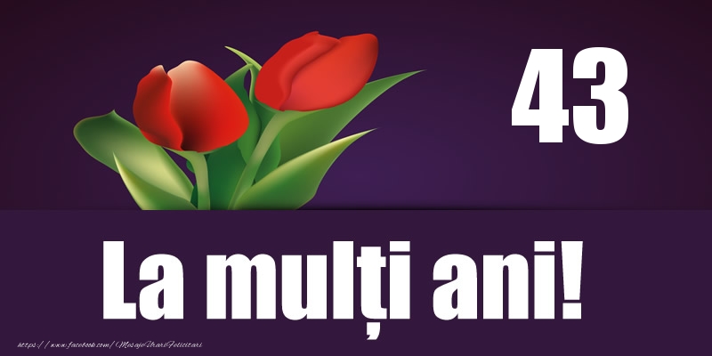 43 ani La multi ani!