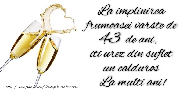 La implinirea frumoasei varste de 43 ani, iti urez din suflet  un calduros La multi ani!