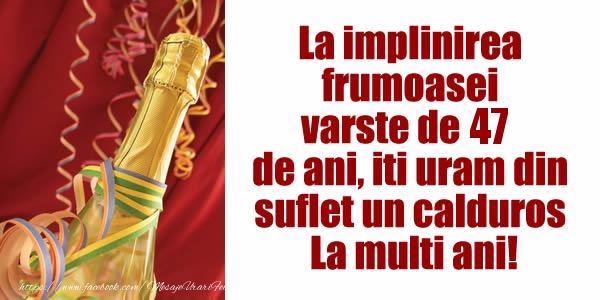 La implinirea  frumoasei  varste de 47 ani, iti uram din  suflet un calduros La multi ani!
