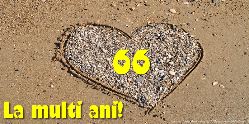 66 ani La multi ani!