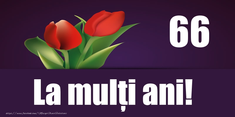 66 ani La multi ani!
