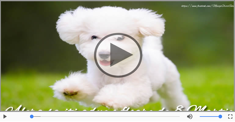 Felicitate muzicale de 8 Martie