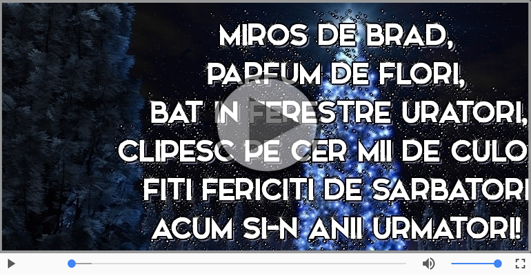 Craciun fericit si un an nou si mai fericit!