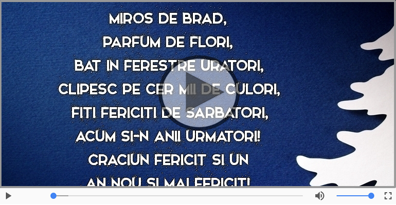 Craciun fericit si un an nou si mai fericit!