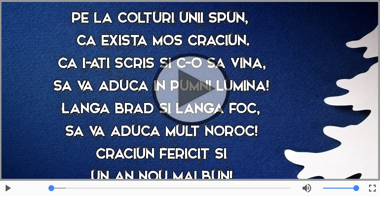 Craciun fericit si un an nou mai bun!