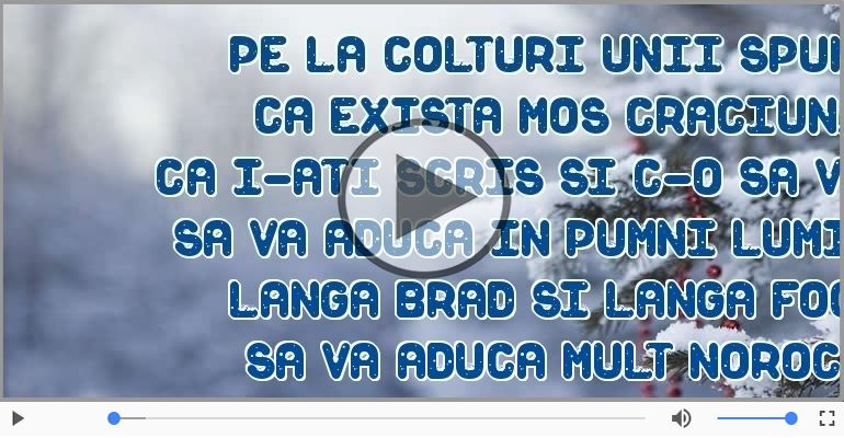 Craciun fericit si un an nou mai bun!