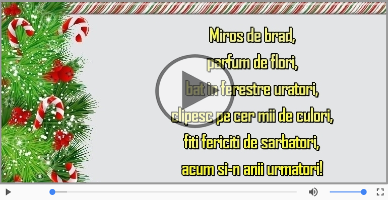 Craciun fericit si un an nou si mai fericit!