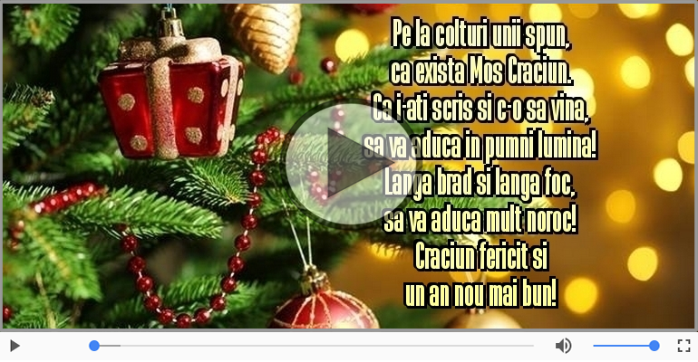Craciun fericit si un an nou mai bun!