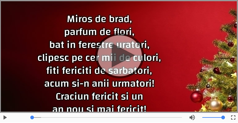 Craciun fericit si un an nou si mai fericit!