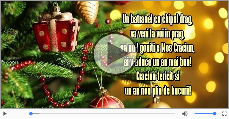 Craciun fericit si un an nou plin de bucurii!