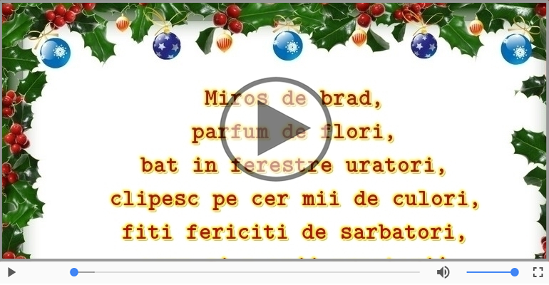 Craciun fericit si un an nou si mai fericit!