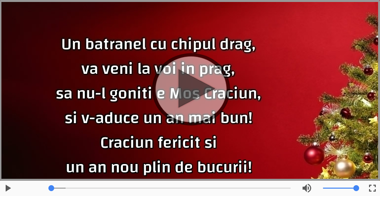 Craciun fericit si un an nou plin de bucurii!