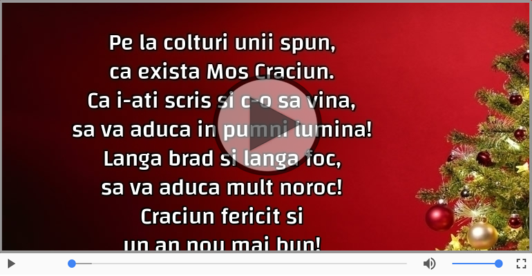 Craciun fericit si un an nou mai bun!