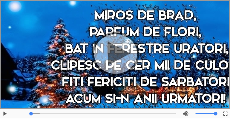 Craciun fericit si un an nou si mai fericit!