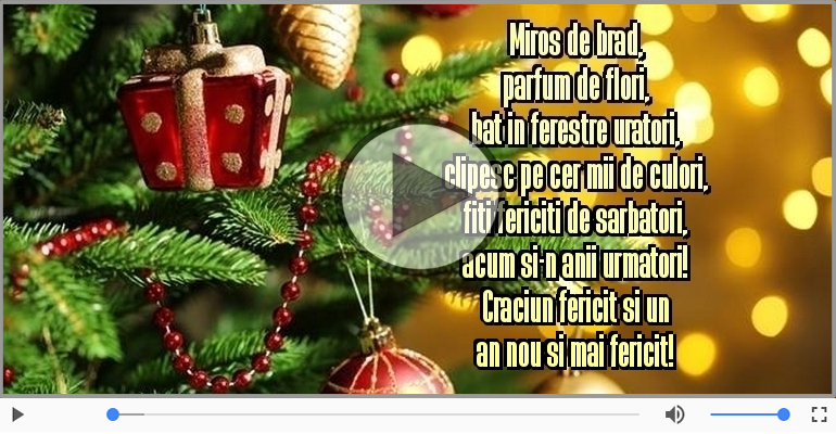 Craciun fericit si un an nou si mai fericit!