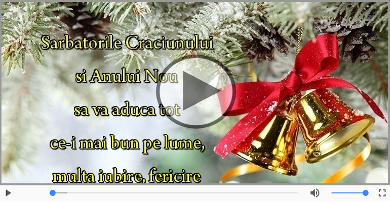 Sarbatorile Craciunului si Anului Nou sa va aduca ...