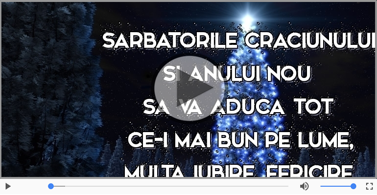 Sarbatorile Craciunului si Anului Nou sa va aduca ...