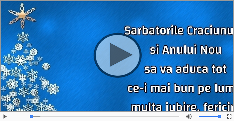 Sarbatorile Craciunului si Anului Nou sa va aduca ...