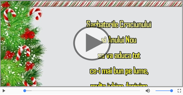 Sarbatorile Craciunului si Anului Nou sa va aduca ...