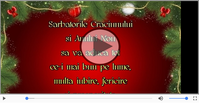 Sarbatorile Craciunului si Anului Nou sa va aduca ...