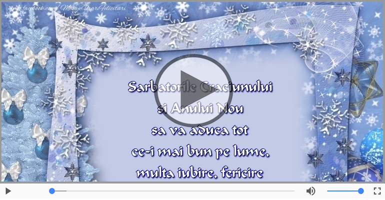 Sarbatorile Craciunului si Anului Nou sa va aduca ...