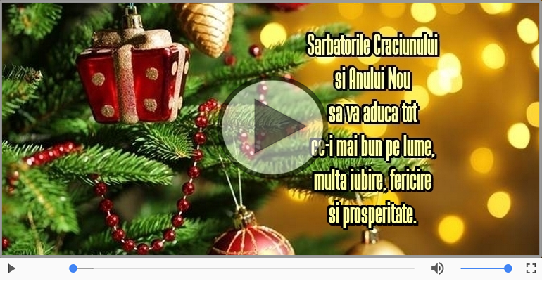 Sarbatorile Craciunului si Anului Nou sa va aduca ...