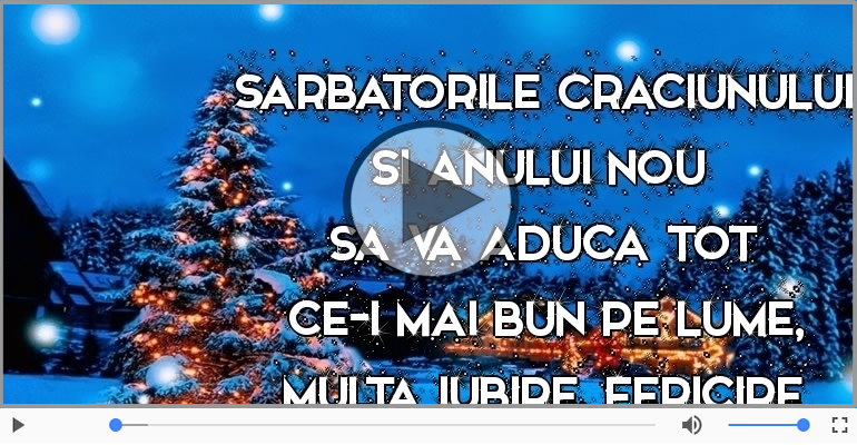 Sarbatorile Craciunului si Anului Nou sa va aduca ...