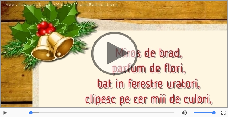 Craciun fericit si un an nou si mai fericit!