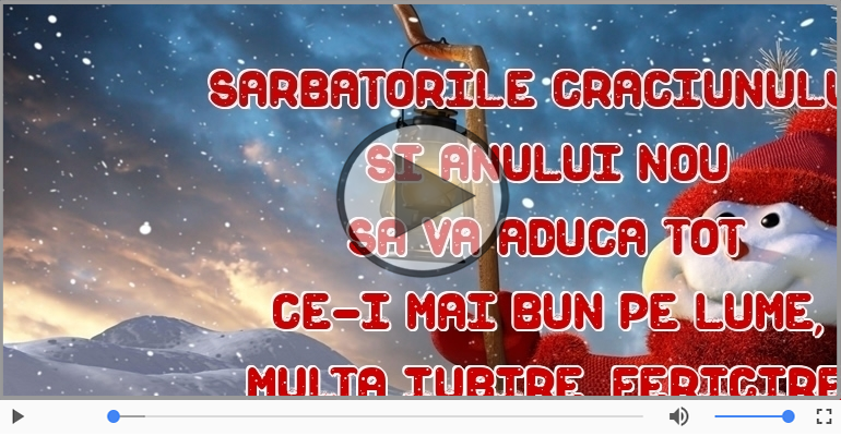 Sarbatorile Craciunului si Anului Nou sa va aduca ...