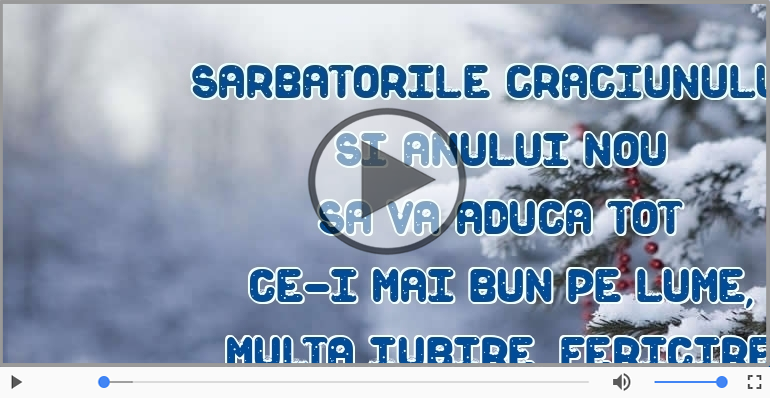 Sarbatorile Craciunului si Anului Nou sa va aduca ...
