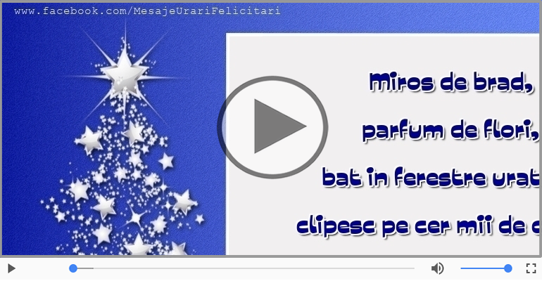 Craciun fericit si un an nou si mai fericit!