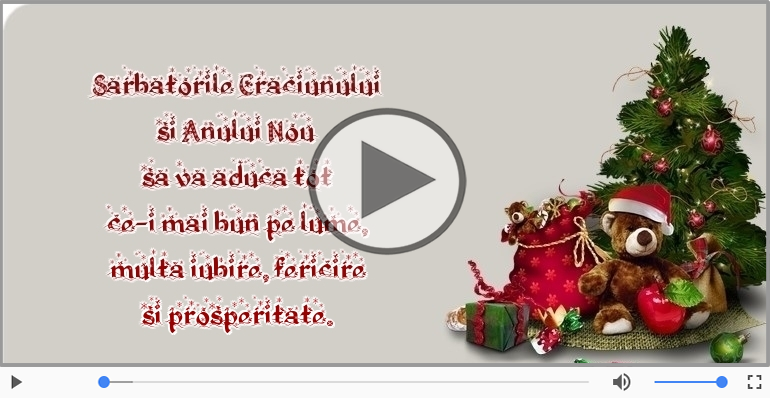 Sarbatorile Craciunului si Anului Nou sa va aduca ...