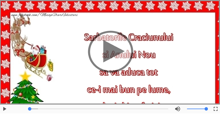 Sarbatorile Craciunului si Anului Nou sa va aduca ...