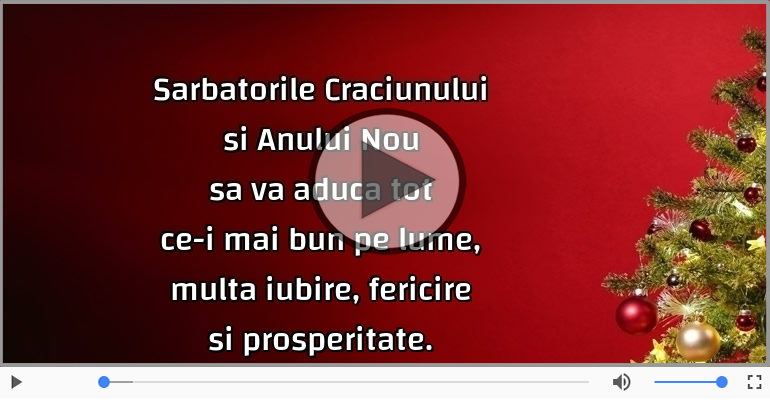 Sarbatorile Craciunului si Anului Nou sa va aduca ...