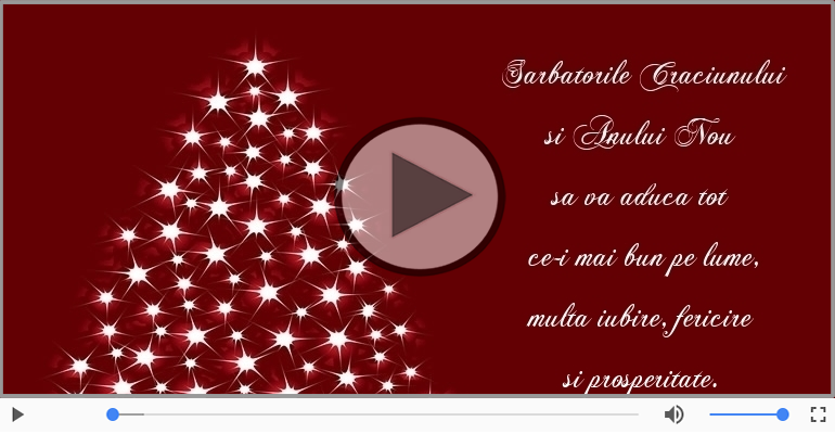 Sarbatorile Craciunului si Anului Nou sa va aduca ...