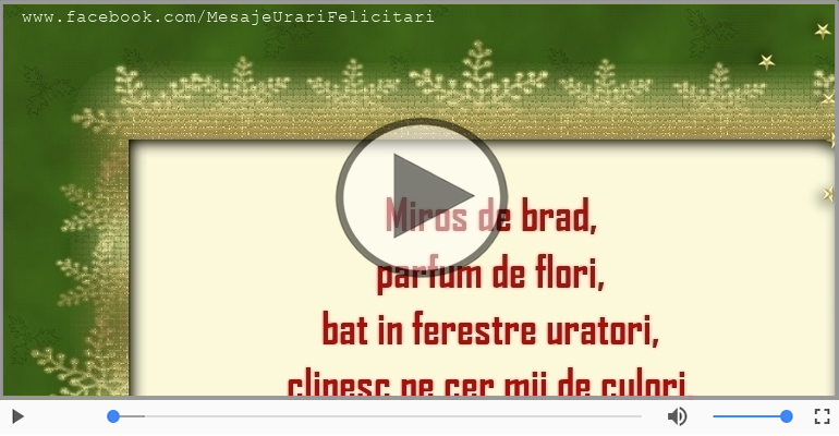 Craciun fericit si un an nou si mai fericit!