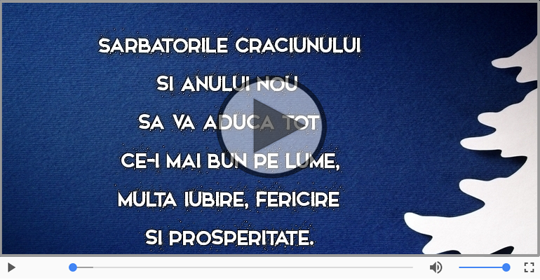 Sarbatorile Craciunului si Anului Nou sa va aduca ...