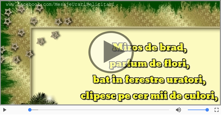 Craciun fericit si un an nou si mai fericit!