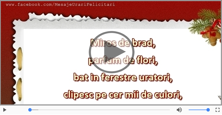 Craciun fericit si un an nou si mai fericit!