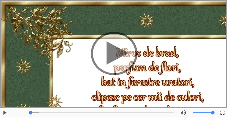 Craciun fericit si un an nou si mai fericit!