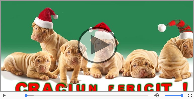 Craciun Fericit! Merry Christmas!